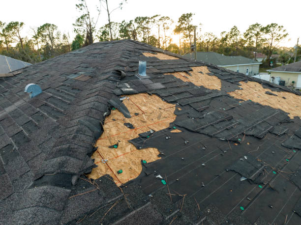 Best Rubber Roofing (EPDM, TPO)  in Reno, NV