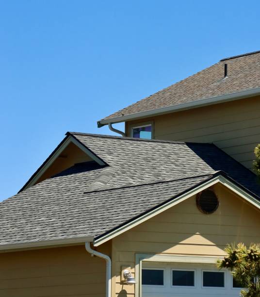 Best Solar Panel Roofing Installation  in Reno, NV